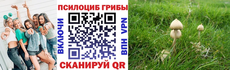 Купить где  Жердевка  Галлюциногенные грибы прущие грибы 
