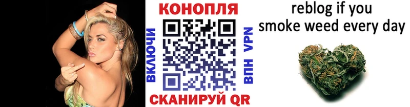 Купить закладки Жердевка Канабис OG Kush